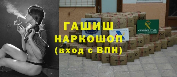 хмурый Алексин