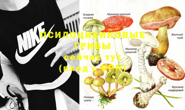 экстази Ростов