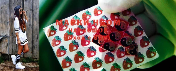 хмурый Алексин