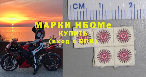 хмурый Алексин