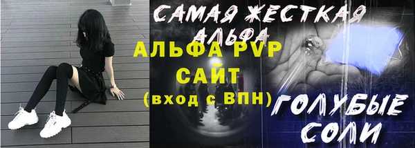хмурый Алексин