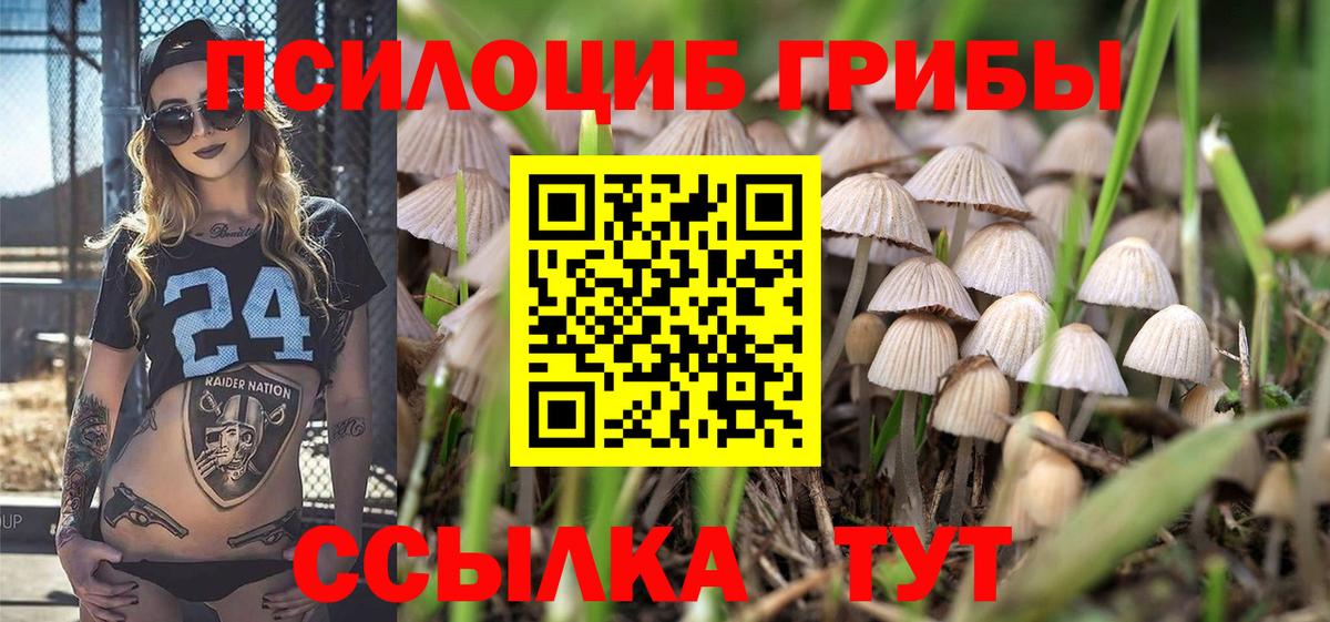 Галлюциногенные грибы Magic Shrooms  Вход с VPN  Галлюциногенные грибы прущие грибы  Карабулак 