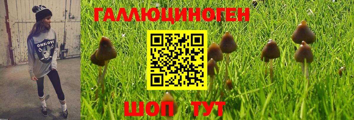 Галлюциногенные грибы Cubensis Карабулак